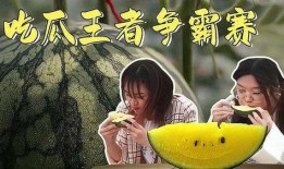 吃瓜娱乐王,揭秘娱乐圈幕后故事，带你领略明星真实生活